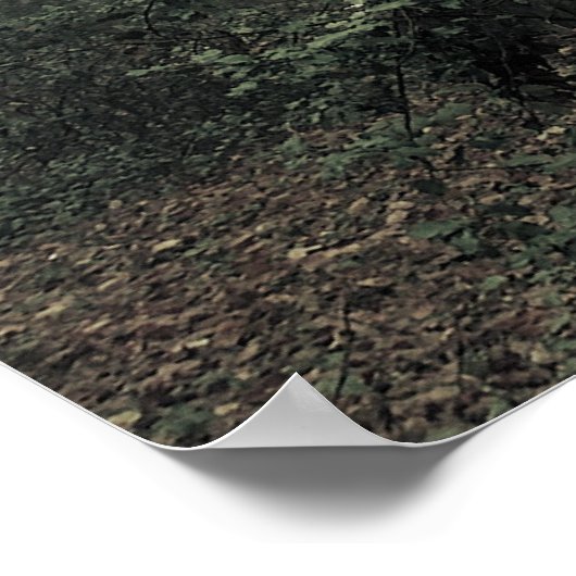 Magisch hout poster (Hoek)