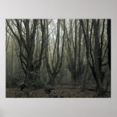 Magisch hout poster (Voorkant)