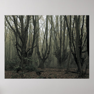 Magisch hout poster