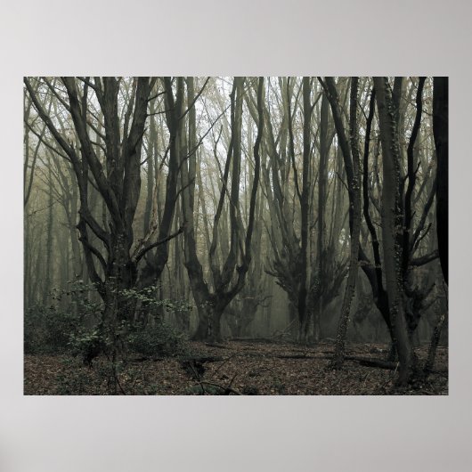 Magisch hout poster (Voorkant)