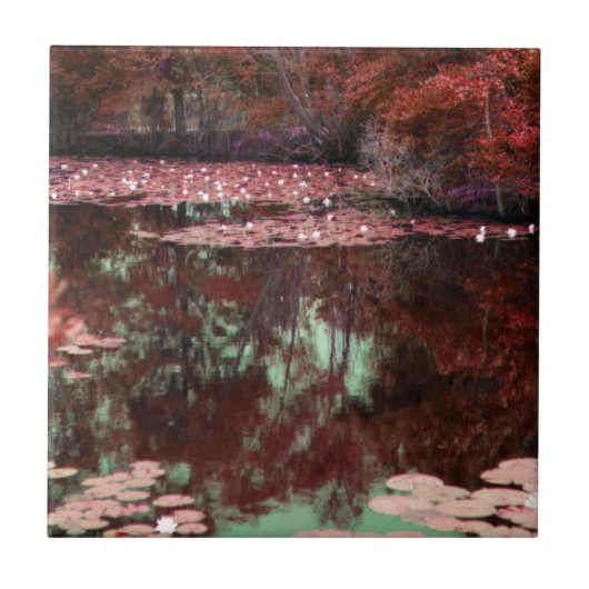 Magisch landschap tegeltje (Voorkant)