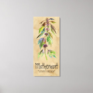 Magisch Plant Motherwort 18.30 het Canvas van" x Afdruk