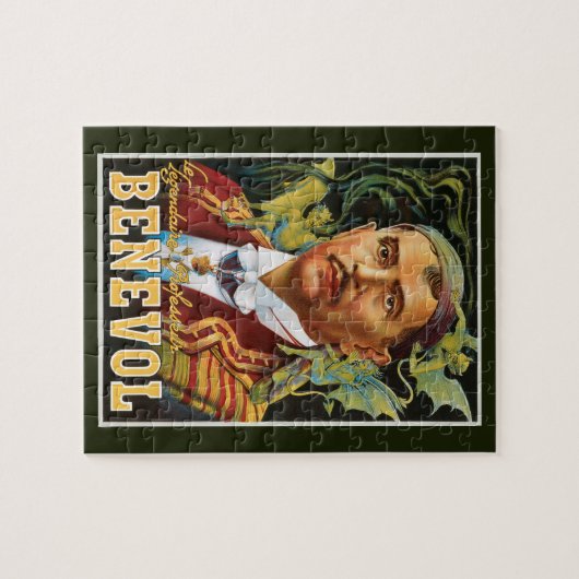  Magisch Poster, professor Benevol Legpuzzel (Horizontaal)