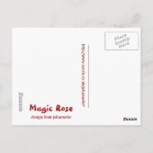 Magisch Roos Briefkaart (Achterkant)
