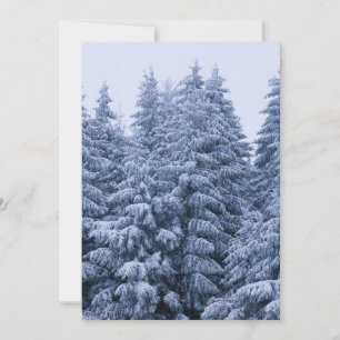 Magisch winterbos - blauw, op maat kaart