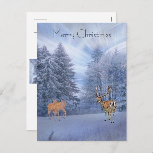 Magisch winterwoud met herten, Kerstmis Feestdagenkaart (Voorkant / Achterkant)