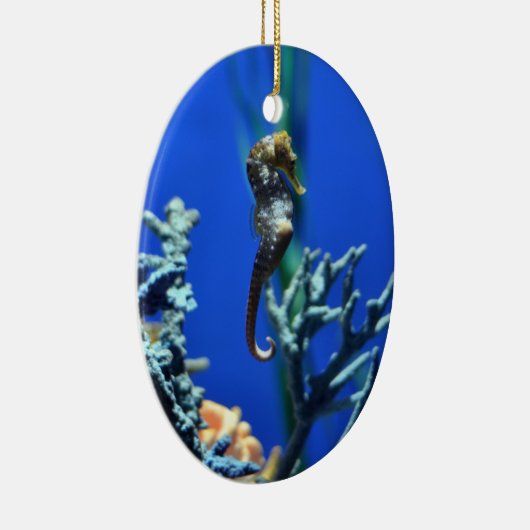 Magisch zeepaardje keramisch ornament (Rechts)