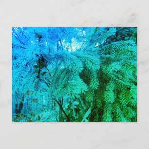 Magische Bevroren Fir Tree Twigs in een Winterbos Briefkaart