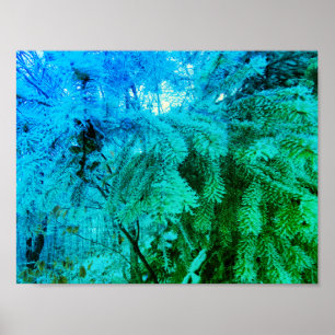 Magische Bevroren Fir Tree Twigs in een Winterbos Poster
