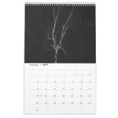 Magische bomen landschap fotokalender kalender (Jan 2027)