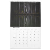Magische bomen landschap fotokalender kalender (Mar 2027)