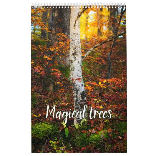 Magische bomen landschapsfoto kalender (Hoes)