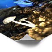 Magische Bossen met botervliegen en paddenstoelen Poster (Hoek)