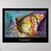 MAGISCHE BUTTERFLES 2 POSTER (Voorkant)