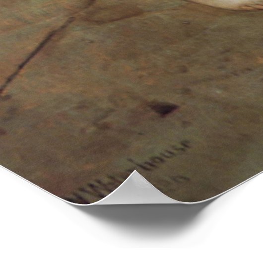 Magische cirkel poster (Hoek)