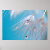 Magische Dandelions Poster (Voorkant)