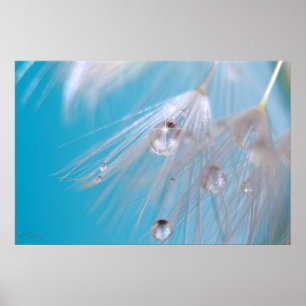 Magische Dandelions Poster