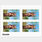 Magische Fee Rechthoekige Sticker (Vel)