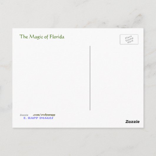 Magische Florida. Briefkaart (Achterkant)
