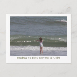 Magische Florida. Briefkaart