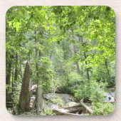 Magische Green Forest Scene. Bier Onderzetter (Voorkant)