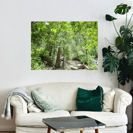 Magische Green Forest Scene. Canvas Afdruk