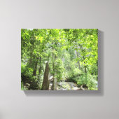 Magische Green Forest Scene. Canvas Afdruk (Voorkant)