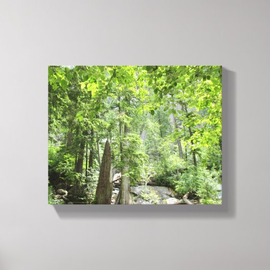 Magische Green Forest Scene. Canvas Afdruk (Voorkant)