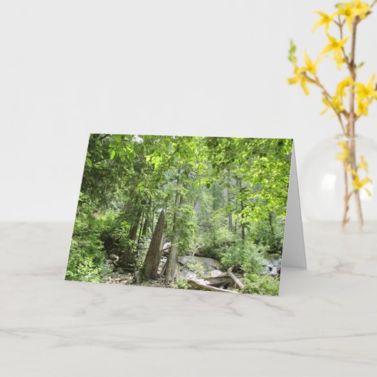 Magische Green Forest Scene. Kaart (Gele Bloem)