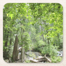 Magische Green Forest Scene.