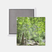 Magische Green Forest Scene. Magneet (Voorkant / Achterkant)