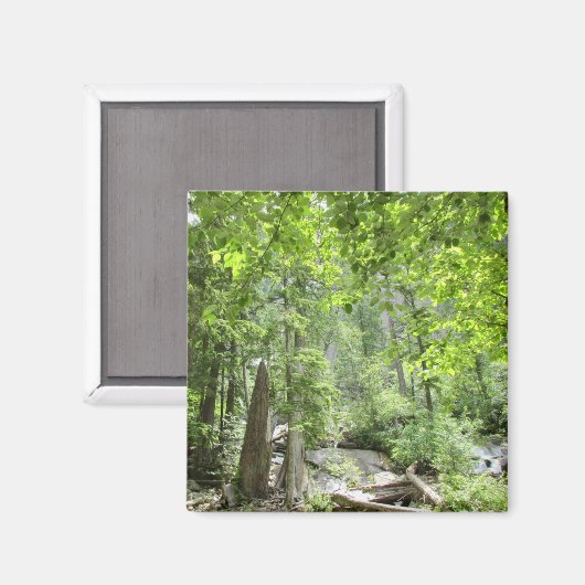 Magische Green Forest Scene. Magneet (Voorkant / Achterkant)