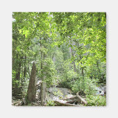 Magische Green Forest Scene. Magneet (Voorkant)