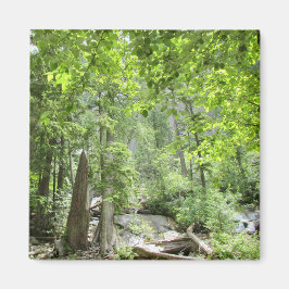 Magische Green Forest Scene. Magneet