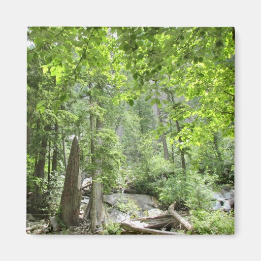 Magische Green Forest Scene. Magneet (Voorkant)