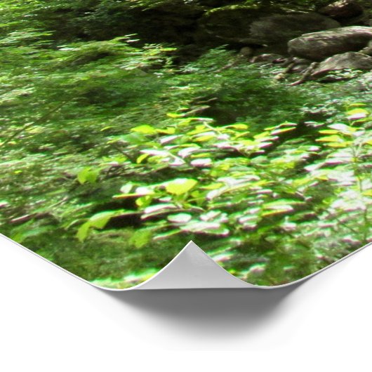 Magische Green Forest Scene. Poster (Hoek)