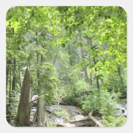 Magische Green Forest Scene. Vierkante Sticker