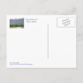  "MAGISCHE HANALEI" (KAUAI) BRIEFKAART (Achterkant)