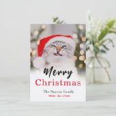 Magische Kerst Kat Foto Vakantie Kaart (Staand voorkant)