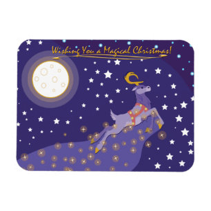 Magische kerst magneet