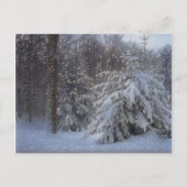 Magische kerstkerst feestdagenkaart (Voorkant)