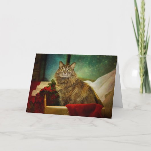 Magische Kerstmis Feestdagen Kaart (Voorkant)