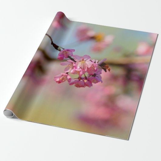 Magische kleuren van de Sakura-tuin Cadeaupapier (Uitgerold)