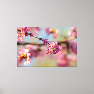 Magische Kleuren Van De Sakura Tuin In De Lente Canvas Afdruk