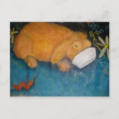 magische konijn briefkaart (Voorkant)