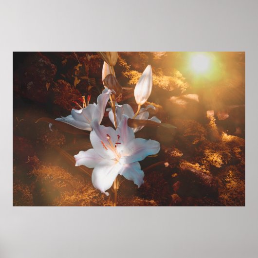 Magische leugens - poster (Voorkant)