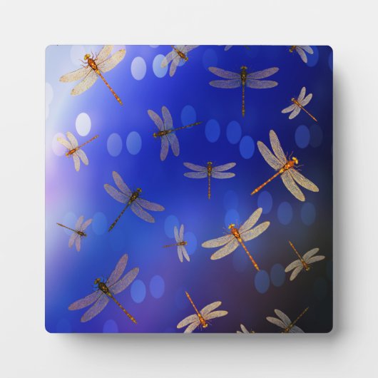 Magische libellen op blauw, fotoplaat (Voorkant)