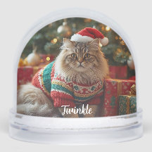 Magische Maine Coon Kat Kerstmis gepersonaliseerd