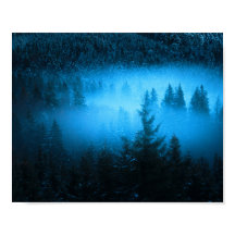 Magische mist in sneeuwsparrenbos