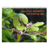 Magische momenten van Hawaï 2012 Kalender (Hoes)